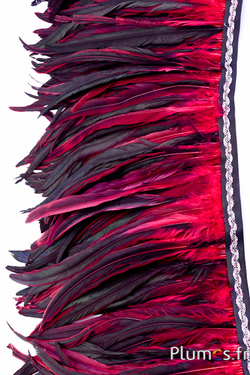 Kraag Haan zweep - lange. veeren 25-32 cm - zwart-donkerrood